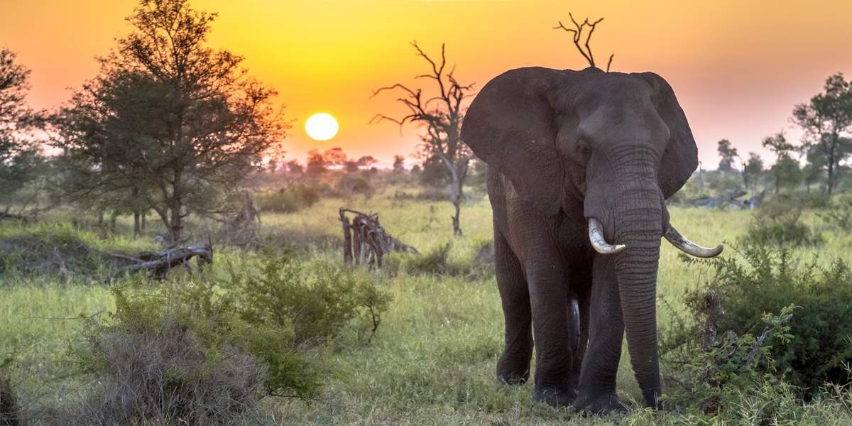 b9166589c5a6dadf17267ec3f1f03cbed2f02b4201077104b7536a48