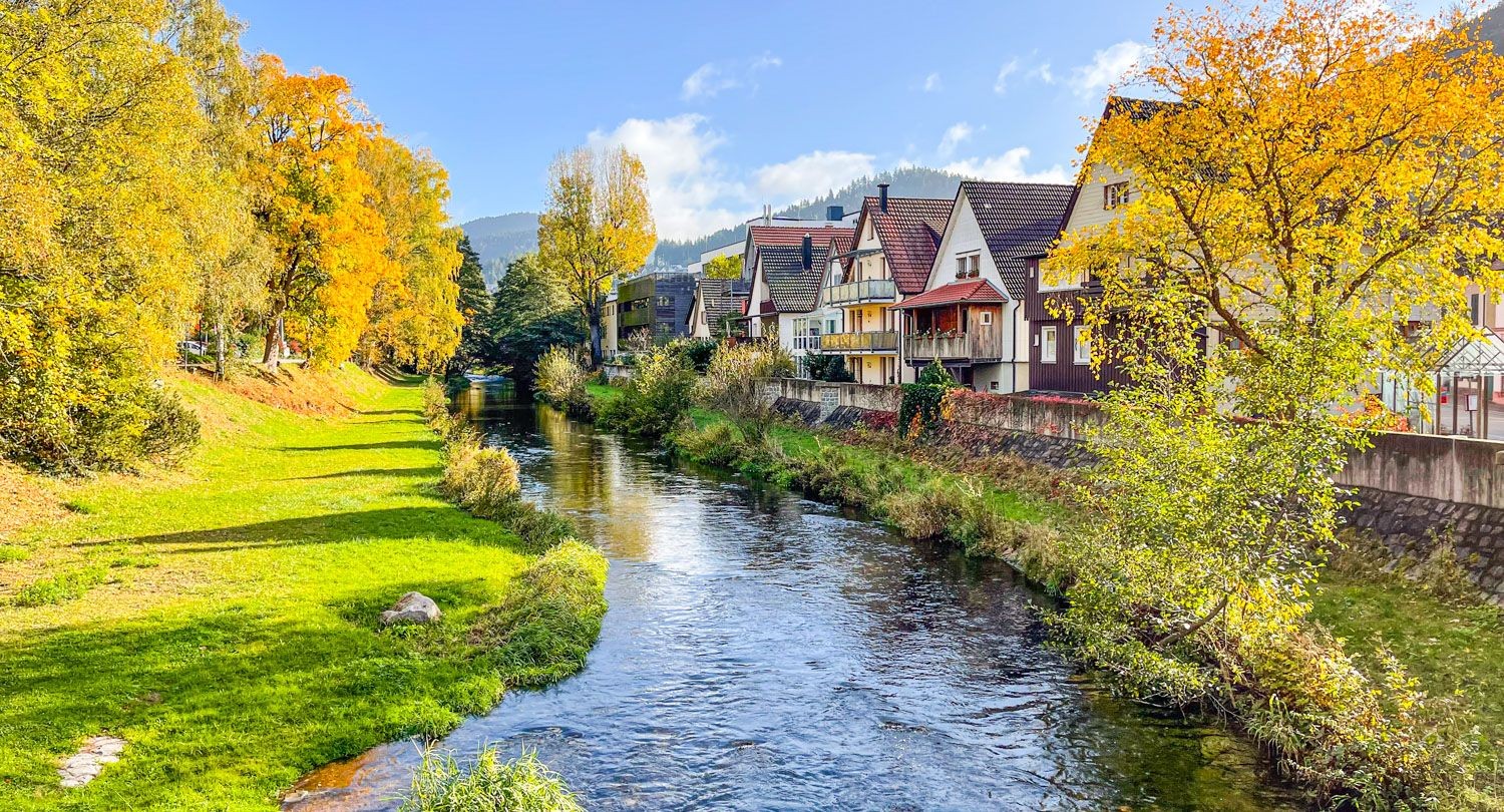 ruta por alsacia y la selva negra